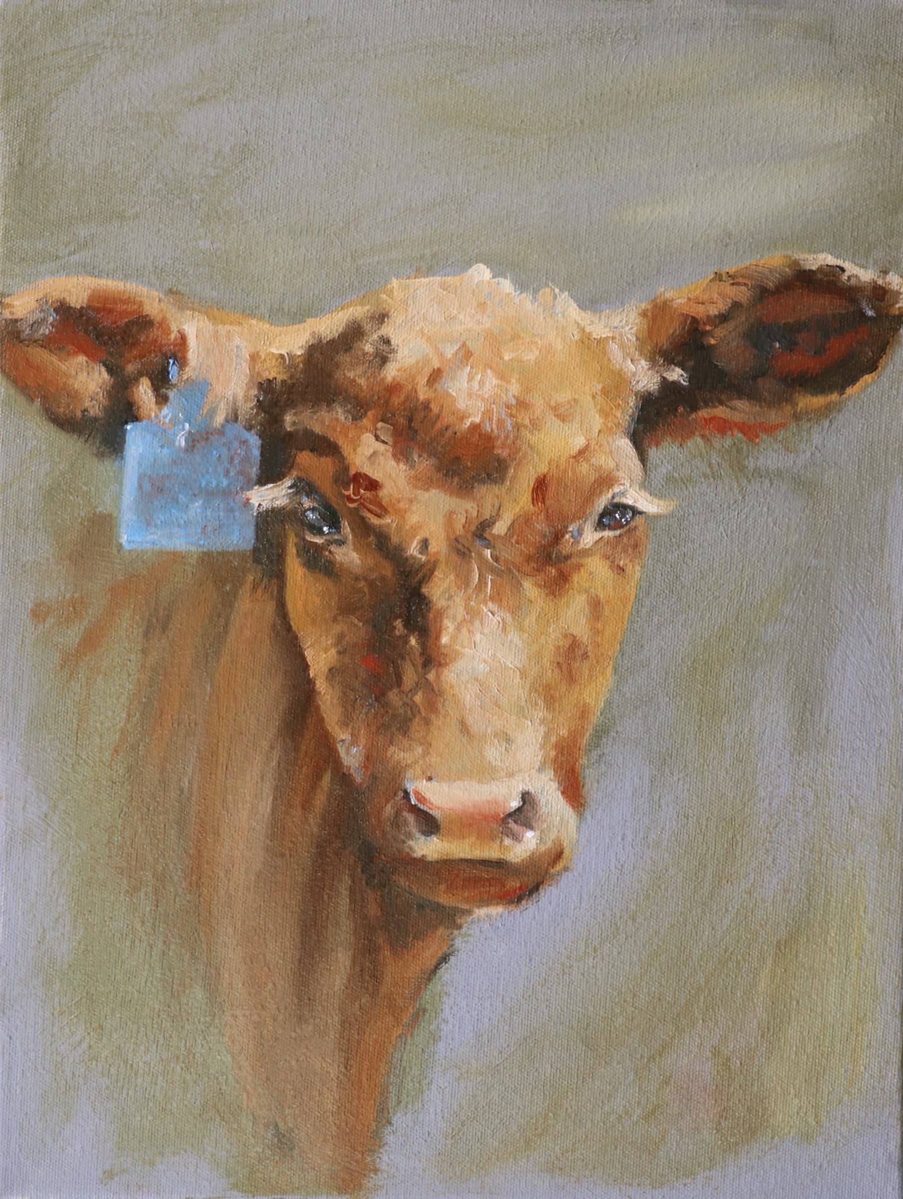 Red Calf - oil painting by Christa Faulk