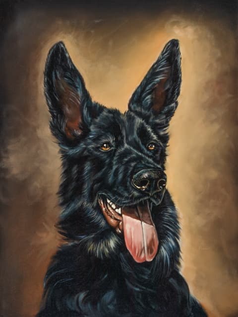 Commissioned oil portrait of a black German Shepherd by Christa Faulk