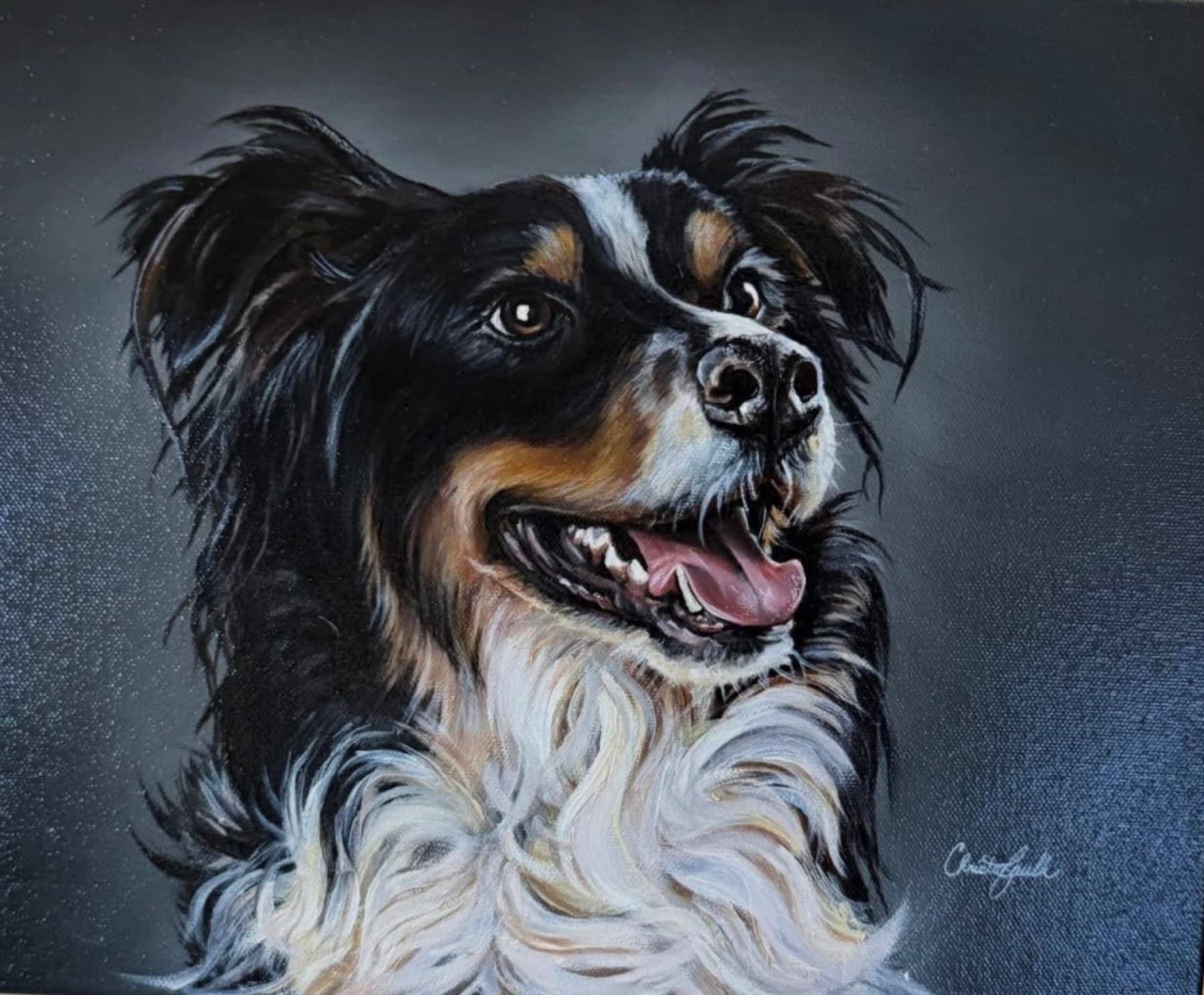 Commissioned oil portrait of a tricolor collie by Christa Faulk