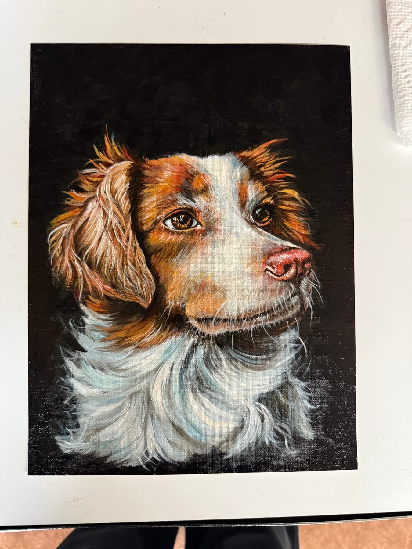 Commissioned oil portrait of a spaniel by Christa Faulk