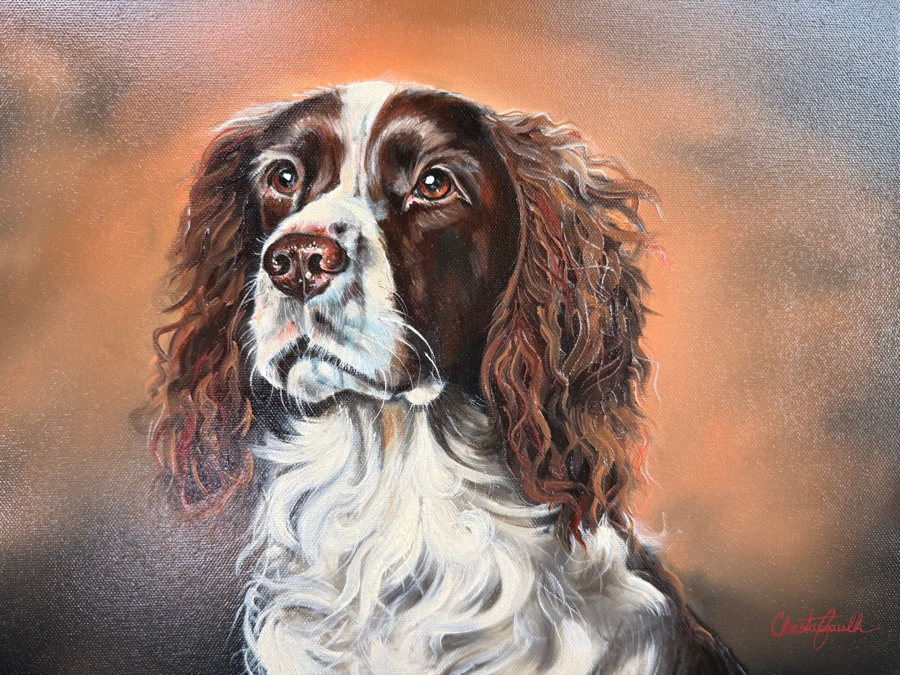 Commissioned oil portrait of a springer spaniel by Christa Faulk
